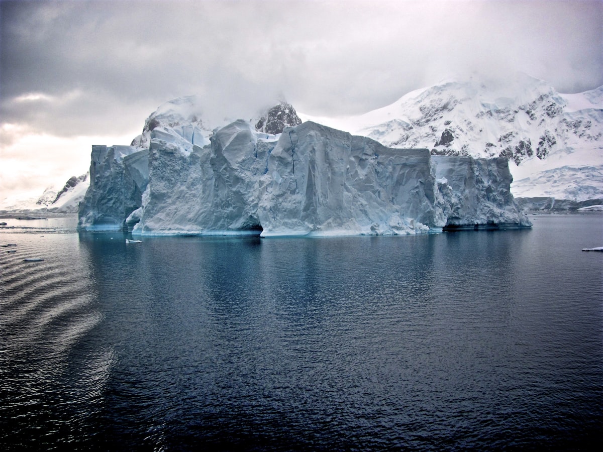 Princess Cruises Coral Antarctica Sales Letter